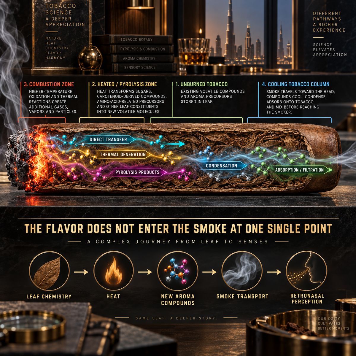 Where Does the Flavor Actually Enter Cigar Smoke?