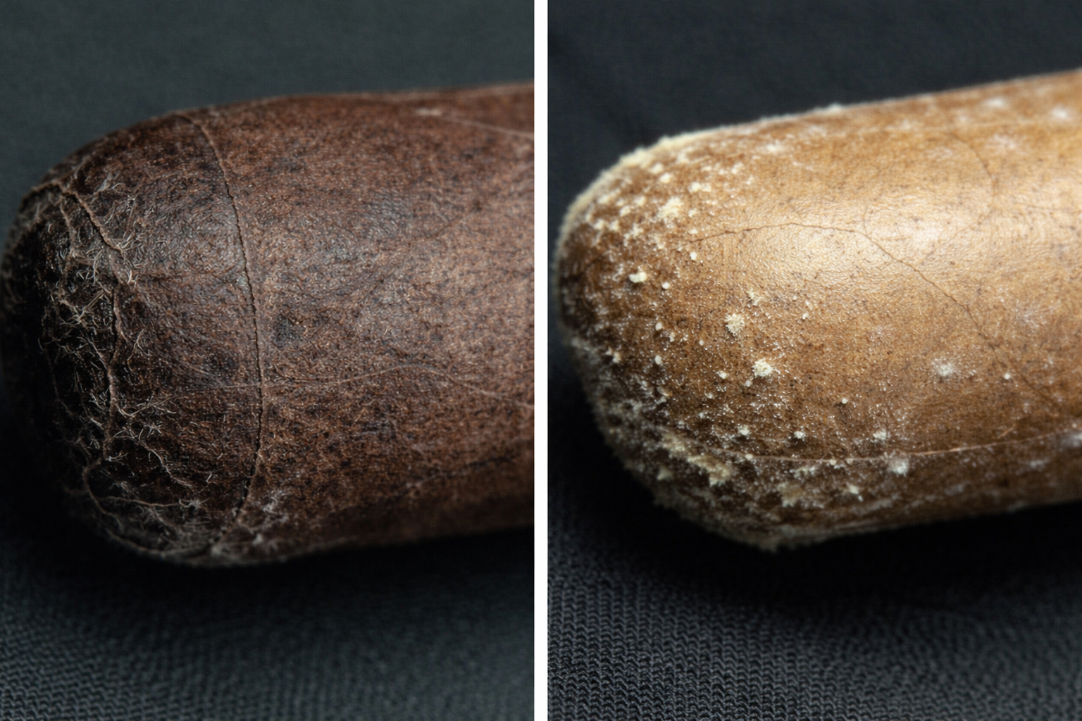 Mold vs. Plume: The Mistake That Ruins Good Cigars