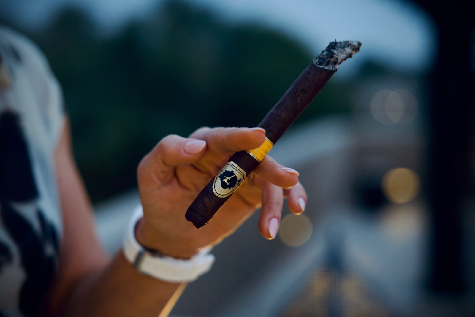 Best Cigars for Long Sessions Dubai | 90+ Minutes