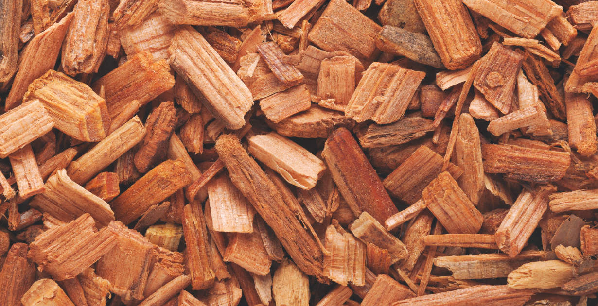 Does Cedar Actually Change Flavor — or Is It All in Your Head?