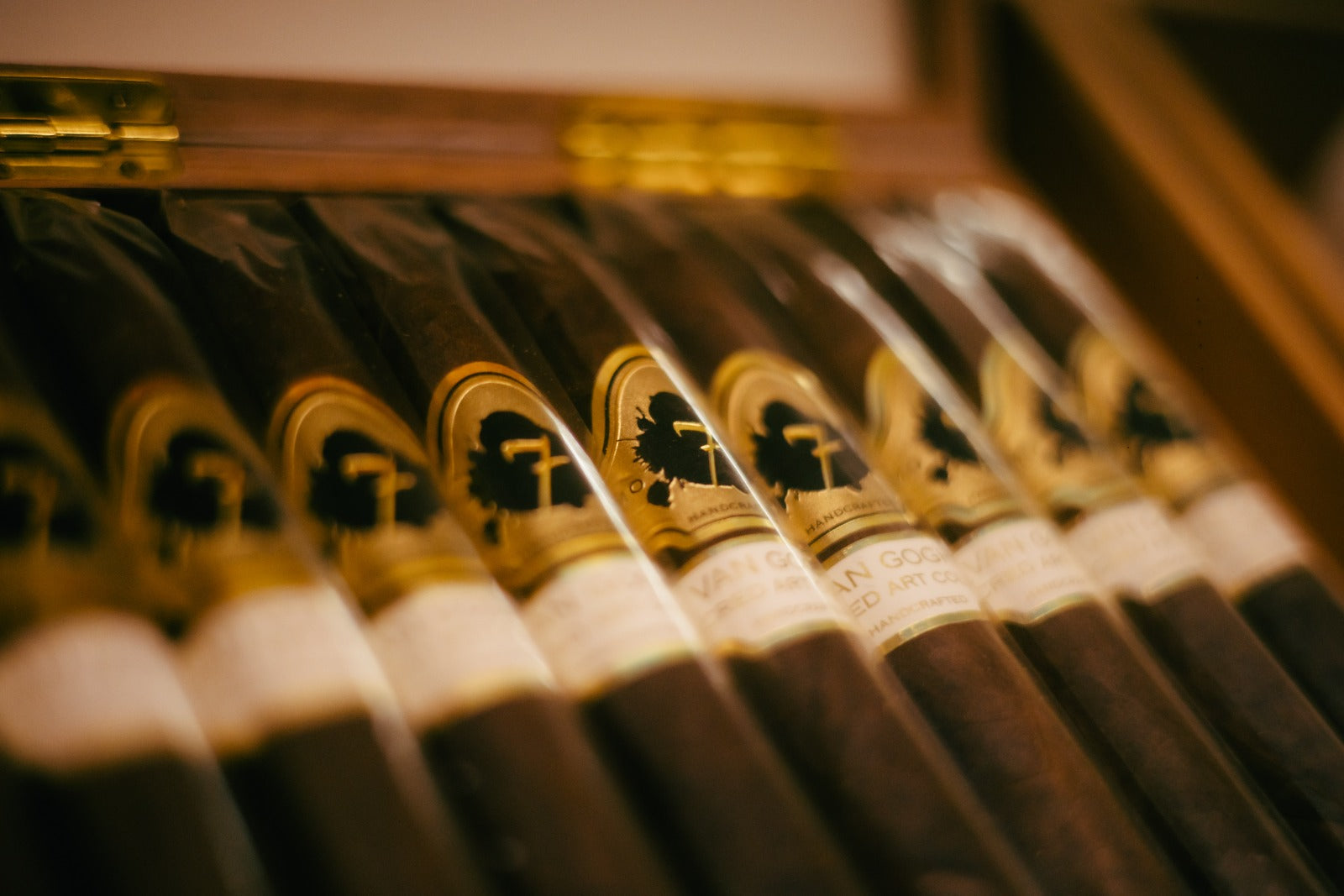Why Cigars Taste Bitter, Causes and Fixes Explained