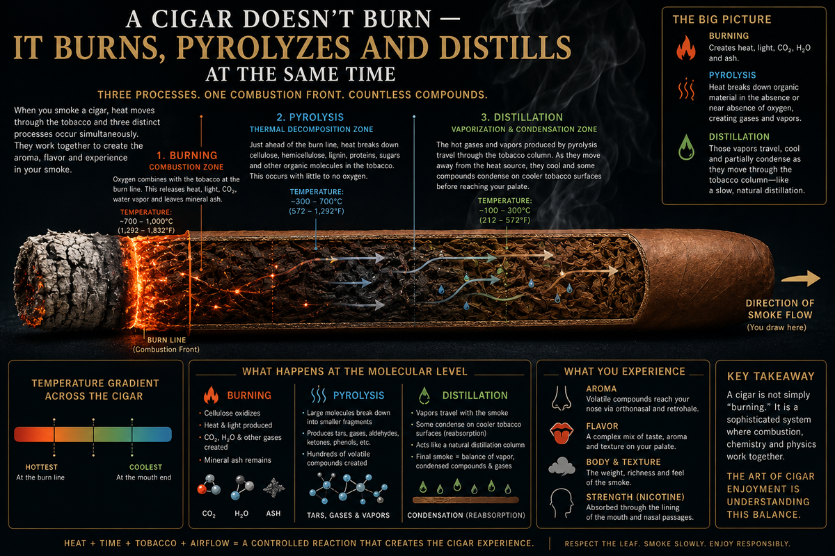 A Cigar Burns, Pyrolyzes and Distills at Once
