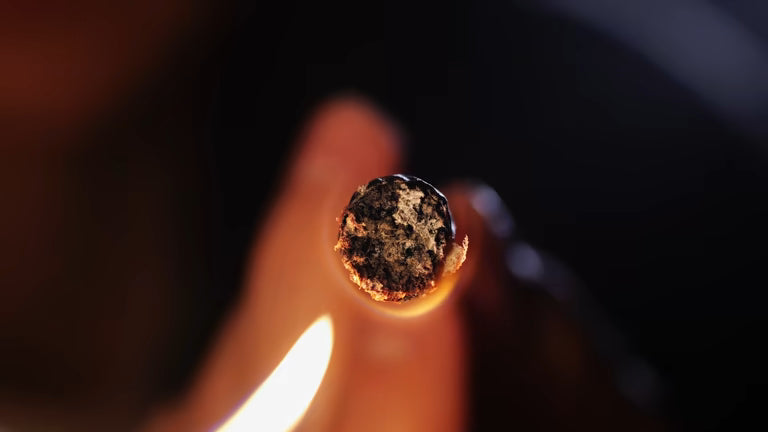 Cigar Flavor Myths vs Reality | What to Expect