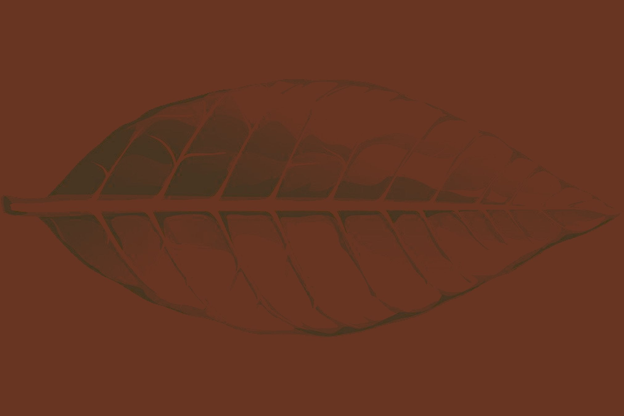 Colorado Cigars