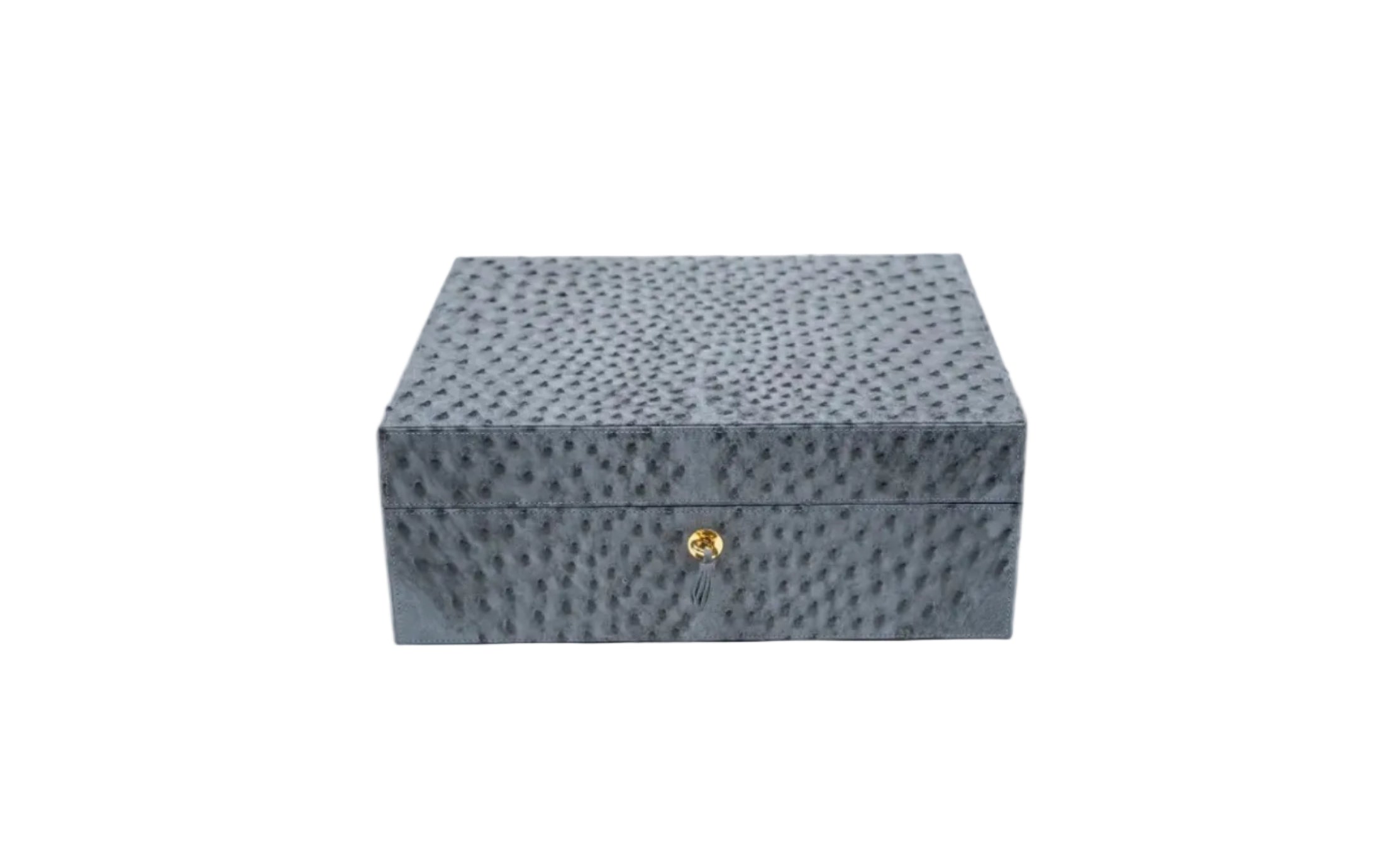 Brizard & Co - "Airflow" Cigar Humidor (60/70) - Genuine Ostrich Bruciato Denim