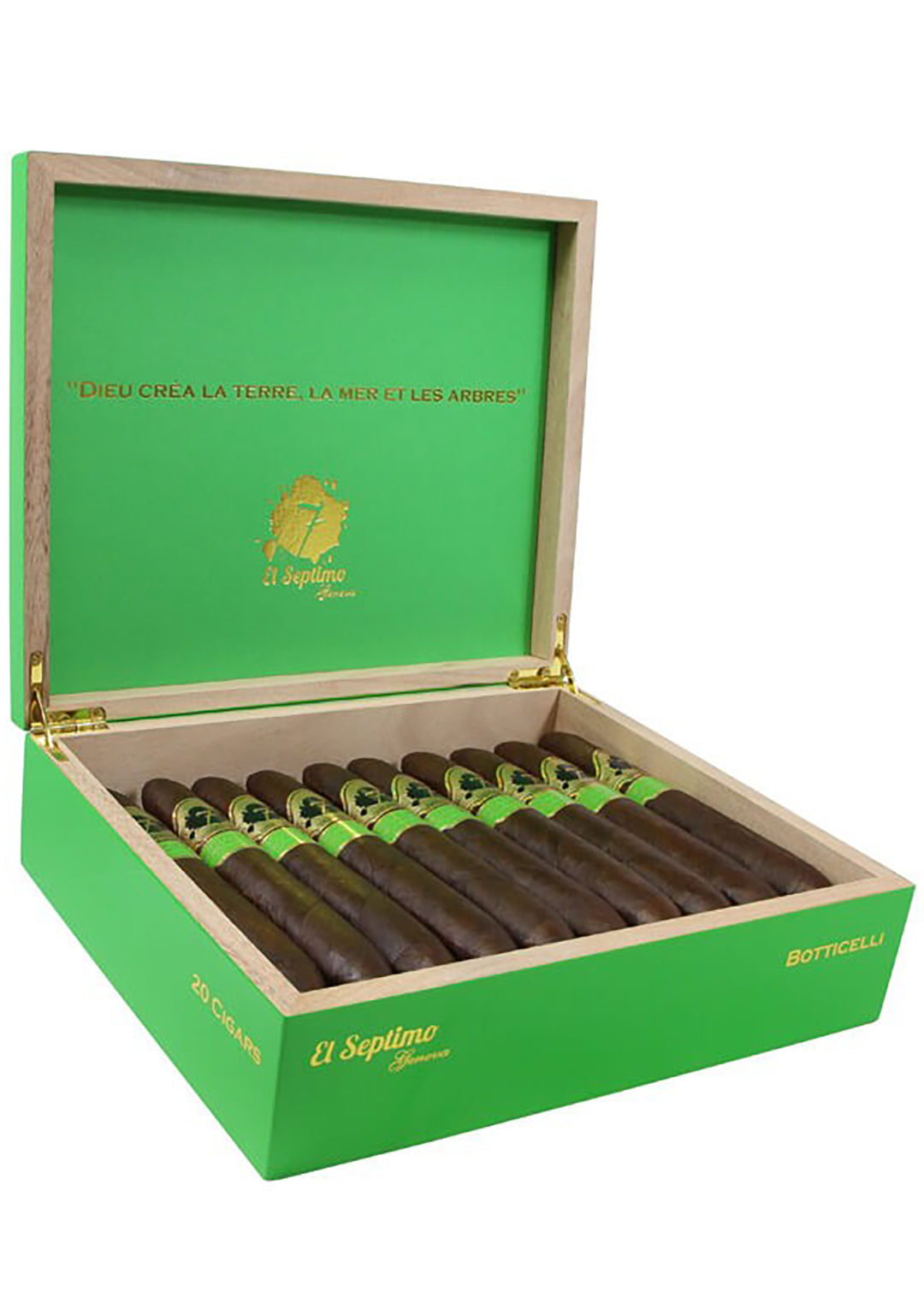 open gold and green box of El Septimo Botticelli cigars