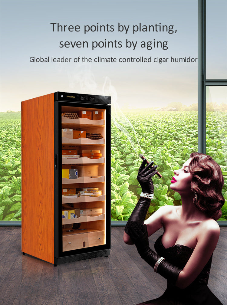 Raching C330A Humidor