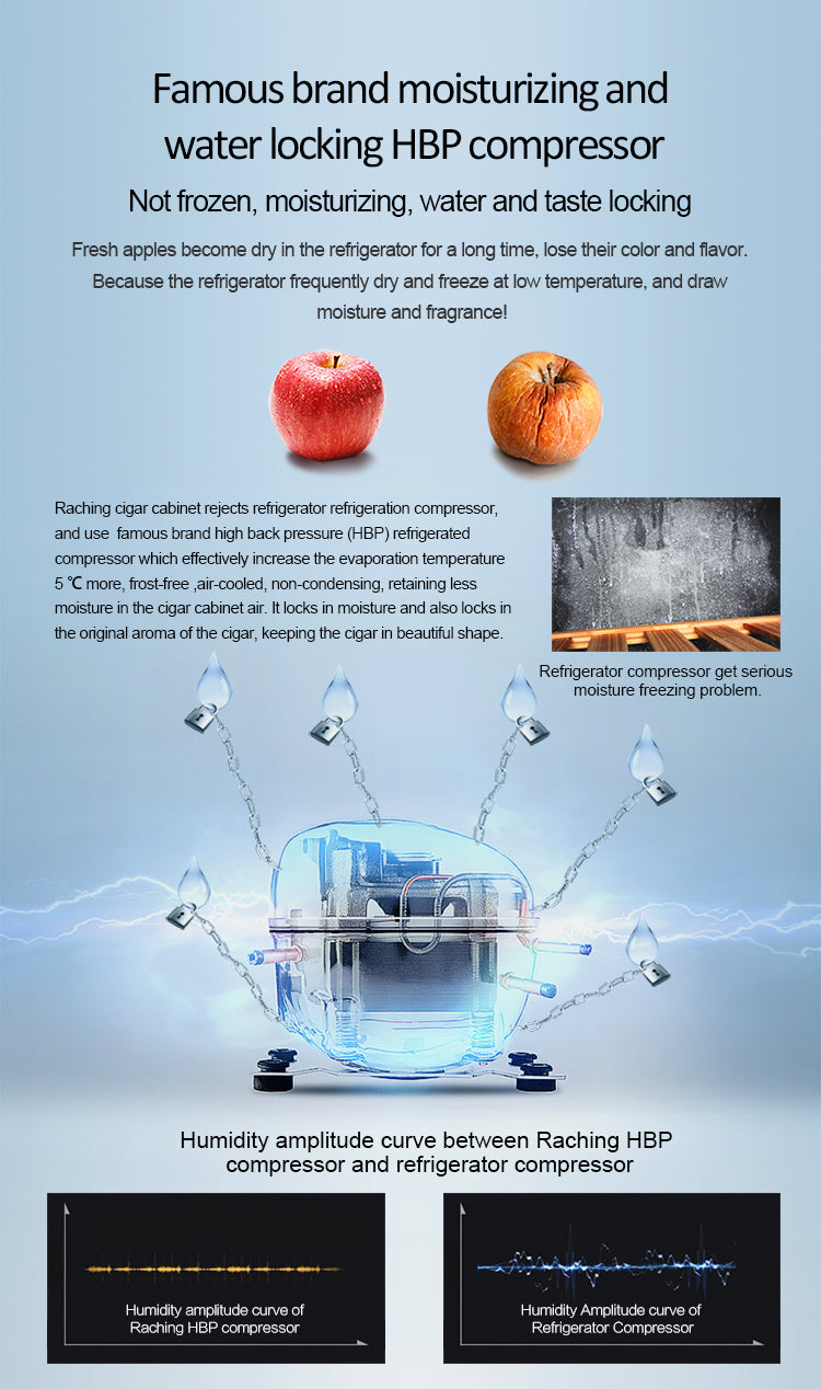 Raching C330A Humidor