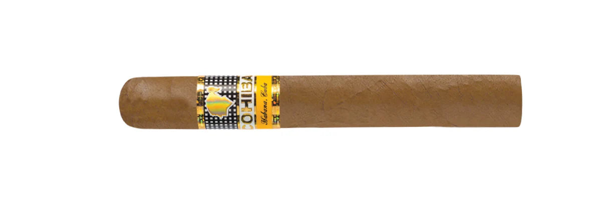 Cohiba Siglo VI