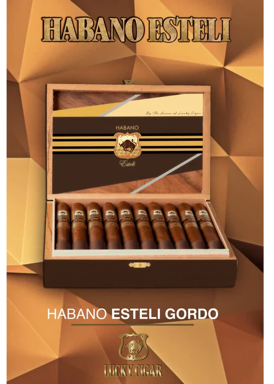 Lucky Cigar - Habano Estelli - 6" x 60 Gordo