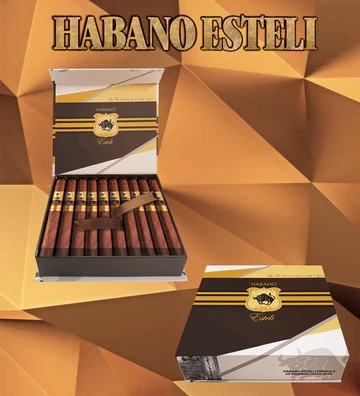 Box of 10 habano esteli cigars box is white, gold and brown