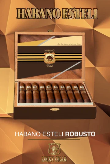 Box of 10 Habano Estelis by Lucky Cigar. Brown, slender cigar with brown and gold wrapper. Box is dark brown with gold and black letters