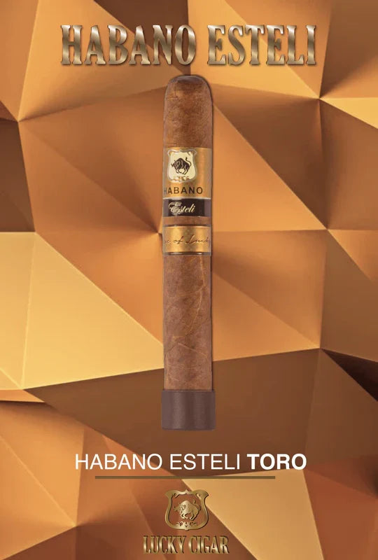 Habano Esteli by Lucky Cigar is premium medium cigar.