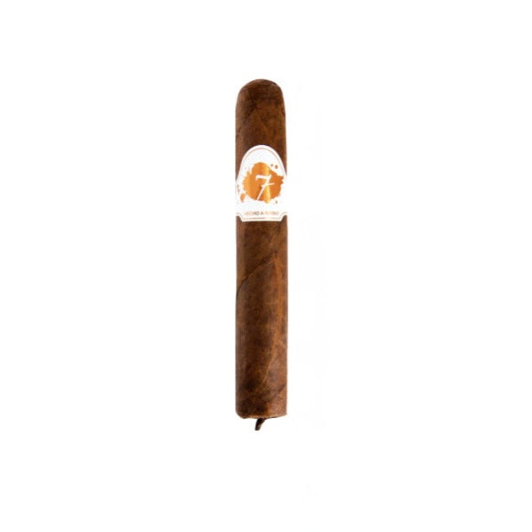 El Septimo - Kolosso white - 6" x 60 Gordo