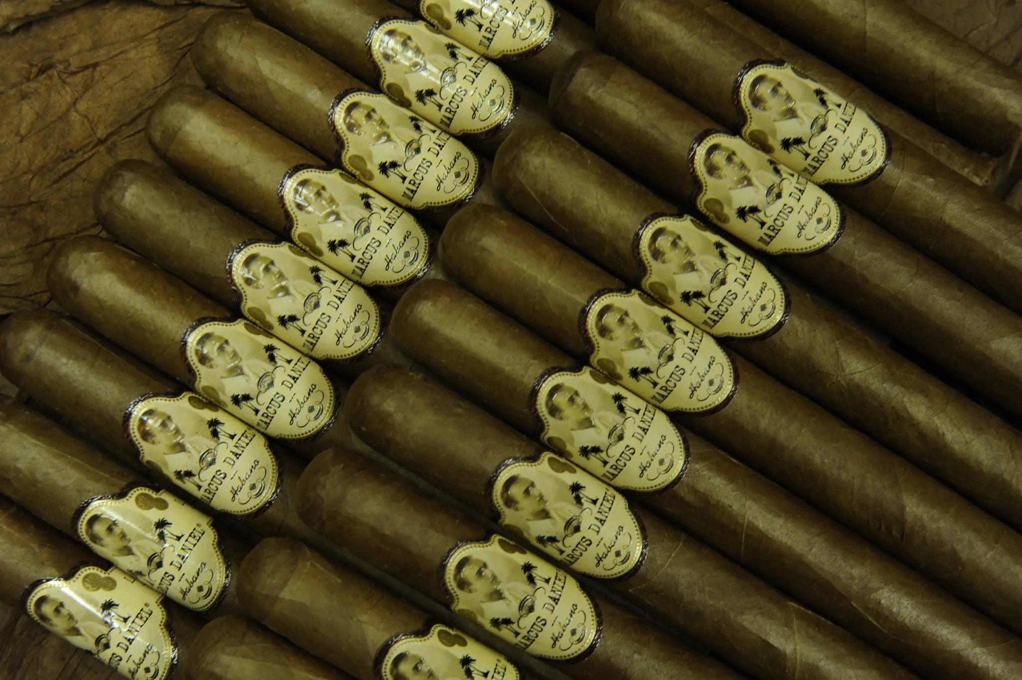 Marcus Daniel Habano Miami Collection Turo cigars